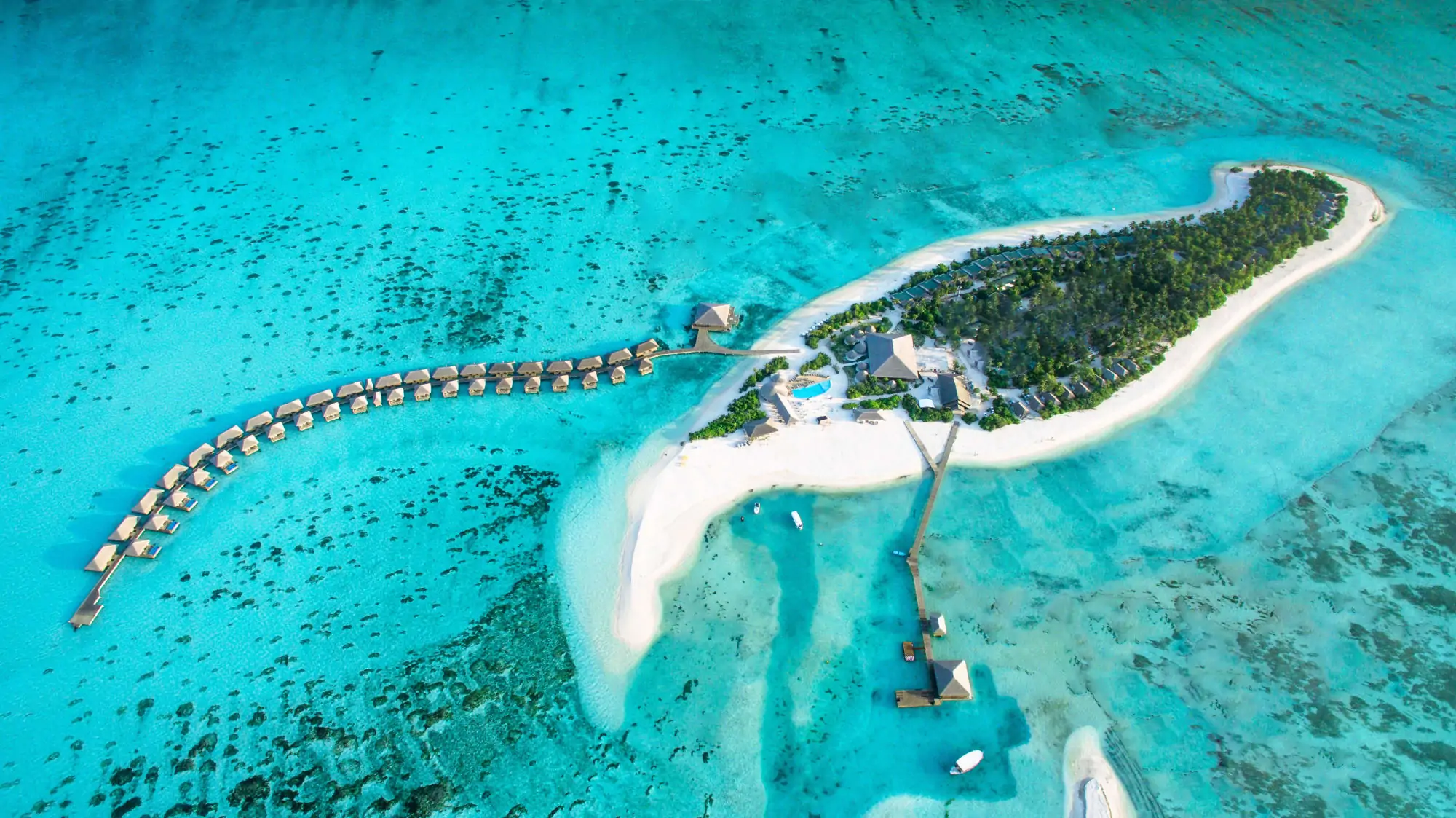 Maldivler'in geleneksel yaşamı Cocoon Maldives, Lhaviyani Atolü'nde balayı çiftlerine özel lüks villalar, romantik aktiviteler ve unutulmaz bir Maldivler tatili sunuyor.
