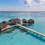 Maldivler tatili için lüks bir seçenek olan Conrad Maldives Rangali Island, camdan yapılmış su altı restoranı ve özel villaları unutulmaz bir deneyim sunuyor.