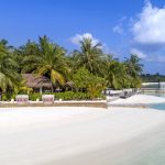 Sheraton Maldives Full Moon Resort & Spa, Maldivler tatili için özel lüks konaklama, 7 restoran, Shine Spa, açık havuz ve su sporları aktiviteleri sunar.