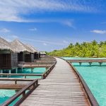 Sheraton Maldives Full Moon Resort & Spa, Maldivler tatili için özel lüks konaklama, 7 restoran, Shine Spa, açık havuz ve su sporları aktiviteleri sunar.