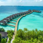 DusitD2 Maldives ile su üstü villalarda lüks ve huzuru yaşayın. Balayı çiftleri ve aileler için özel seçeneklerle Maldivler’in tadını çıkarın.