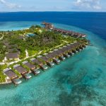 DusitD2 Maldives ile su üstü villalarda lüks ve huzuru yaşayın. Balayı çiftleri ve aileler için özel seçeneklerle Maldivler’in tadını çıkarın.