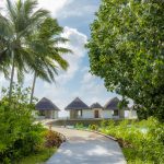 DusitD2 Maldives ile su üstü villalarda lüks ve huzuru yaşayın. Balayı çiftleri ve aileler için özel seçeneklerle Maldivler’in tadını çıkarın.