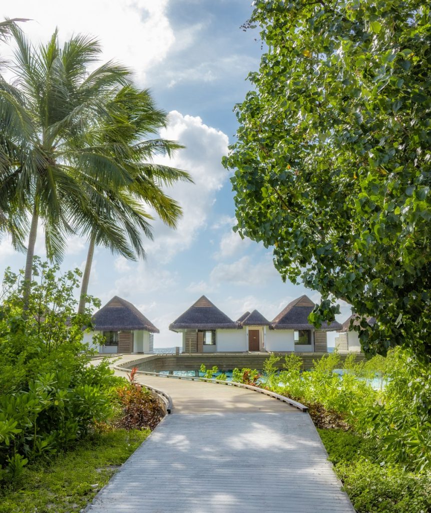 DusitD2 Maldives ile su üstü villalarda lüks ve huzuru yaşayın. Balayı çiftleri ve aileler için özel seçeneklerle Maldivler’in tadını çıkarın.